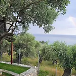 Black Goat * クリッシ・アモウディア