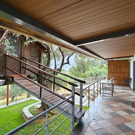 דירה Black Goat כריסי אמודיה