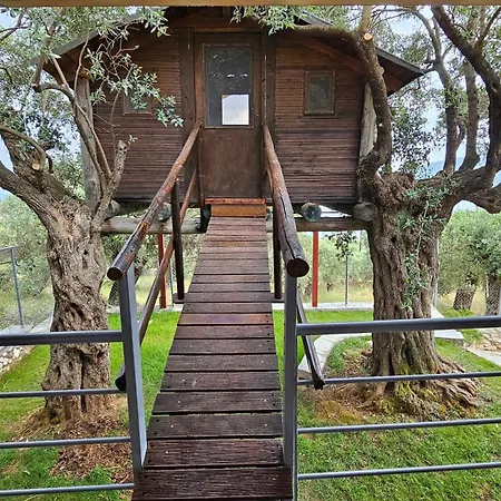 Black Goat כריסי אמודיה