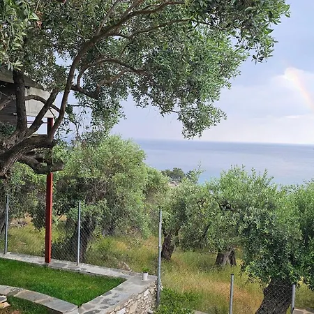 Black Goat * خْريسيا أموذيا