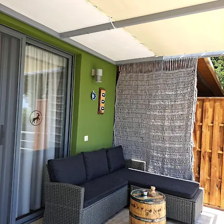 Black Goat خْريسيا أموذيا