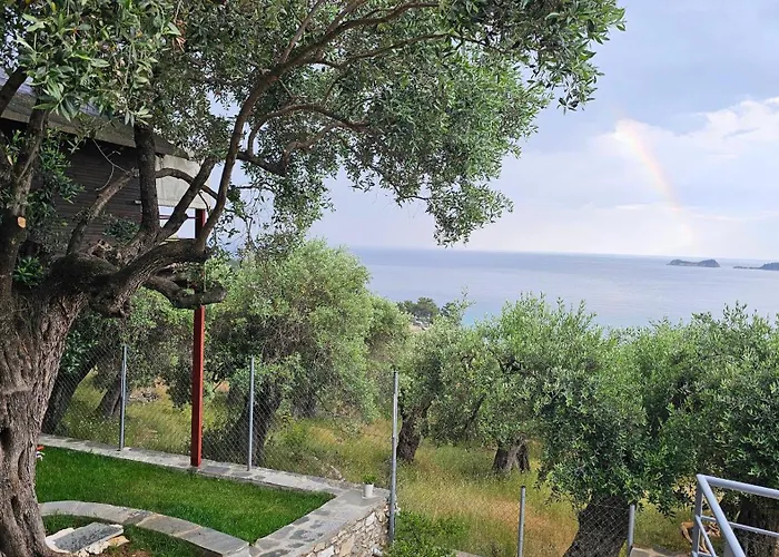 Black Goat * Chrysi Ammoudia